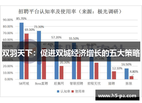 双羽天下：促进双城经济增长的五大策略