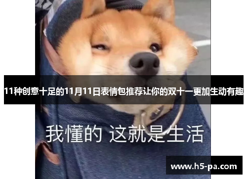 11种创意十足的11月11日表情包推荐让你的双十一更加生动有趣