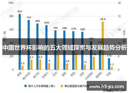 中国世界杯影响的五大领域探索与发展趋势分析