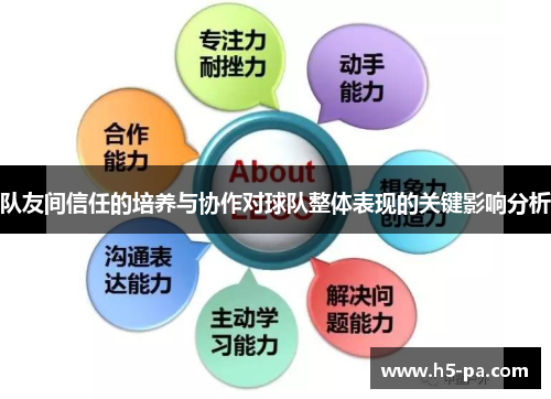 队友间信任的培养与协作对球队整体表现的关键影响分析