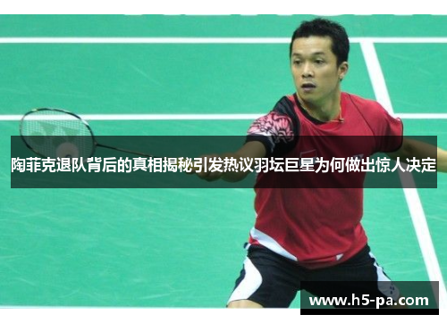 陶菲克退队背后的真相揭秘引发热议羽坛巨星为何做出惊人决定