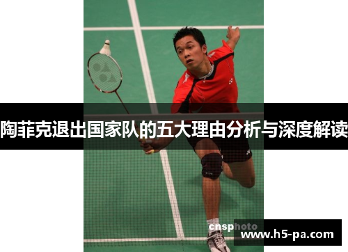 陶菲克退出国家队的五大理由分析与深度解读