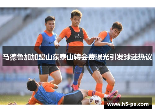 马德鲁加加盟山东泰山转会费曝光引发球迷热议